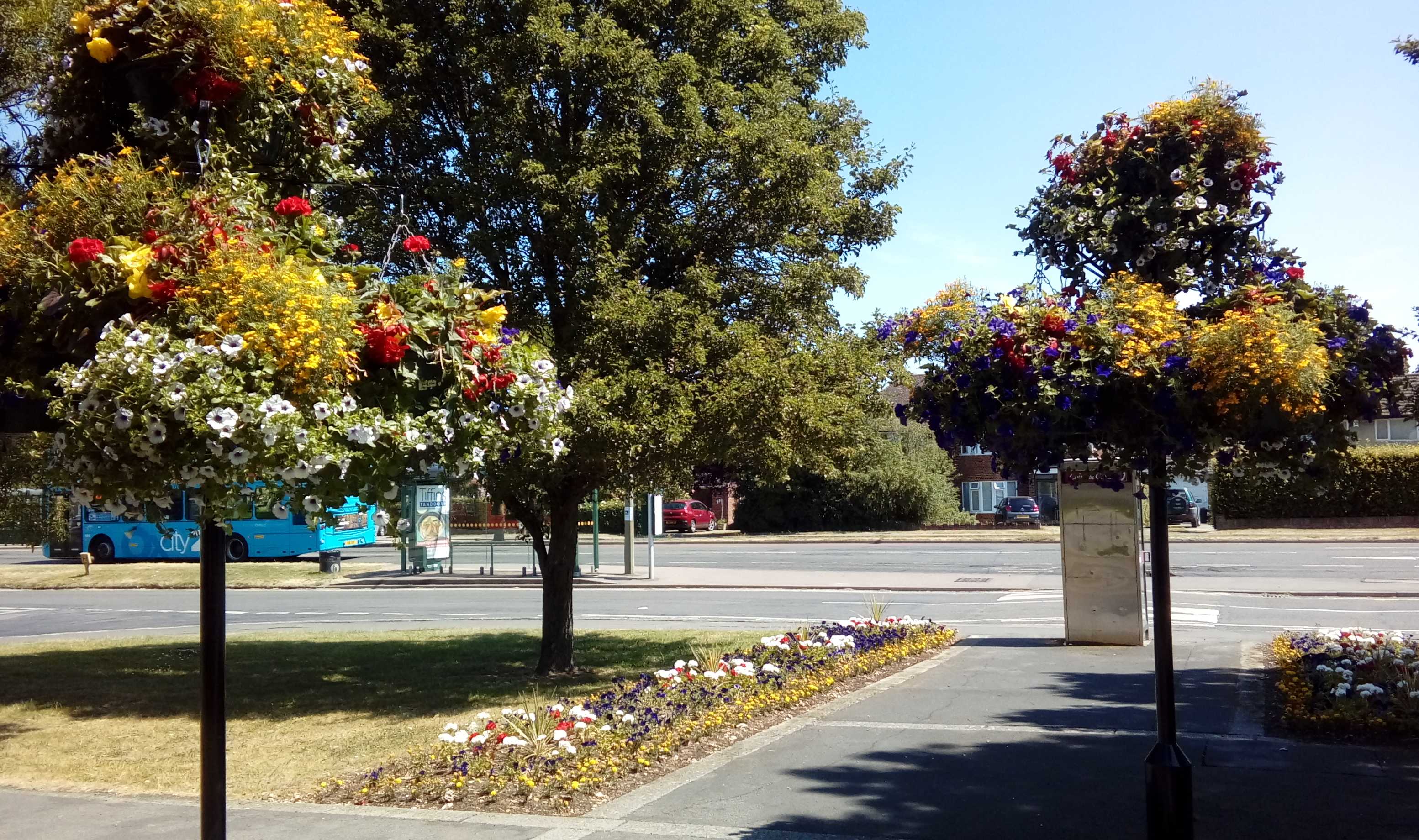 the broadway planted